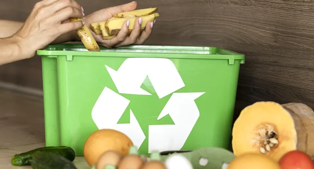 Waste and Disposal Services for Food Waste Recycling